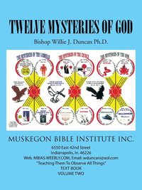 bokomslag Twelve Mysteries of God