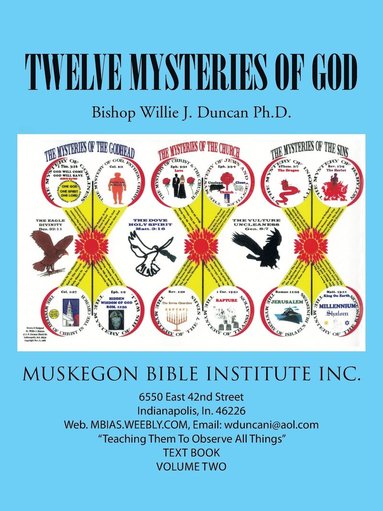 bokomslag Twelve Mysteries of God