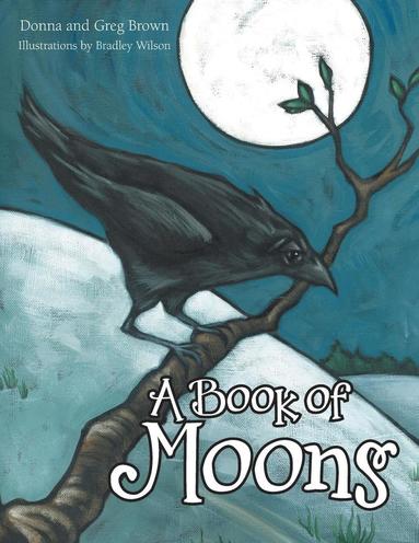 bokomslag A Book of Moons