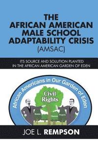 bokomslag African American Male School Adaptability Crisis (Amsac)
