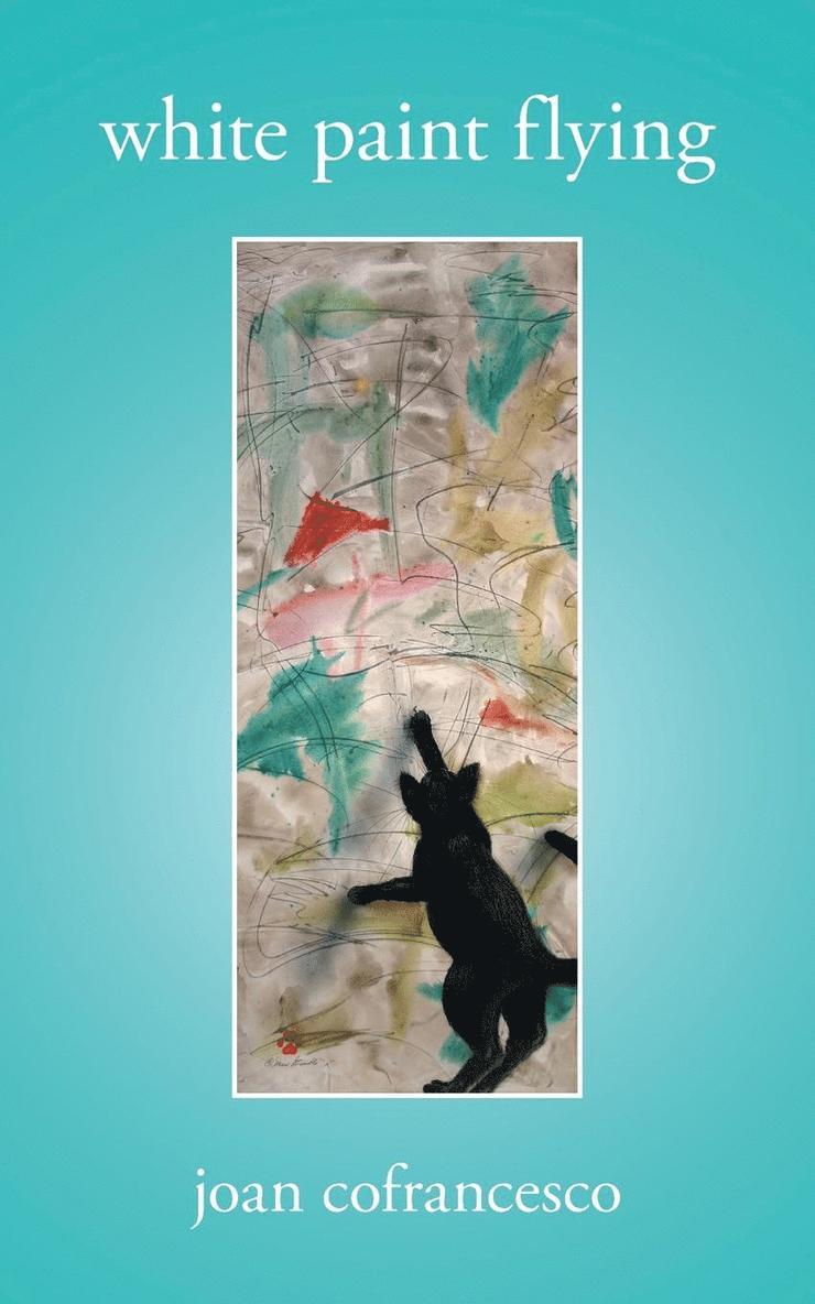 Joan Cofrancesco - white paint flying, Häftad