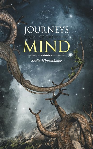 bokomslag Journeys of the Mind