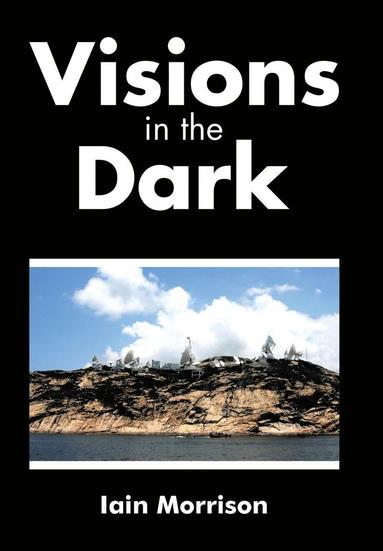 bokomslag Visions in the Dark