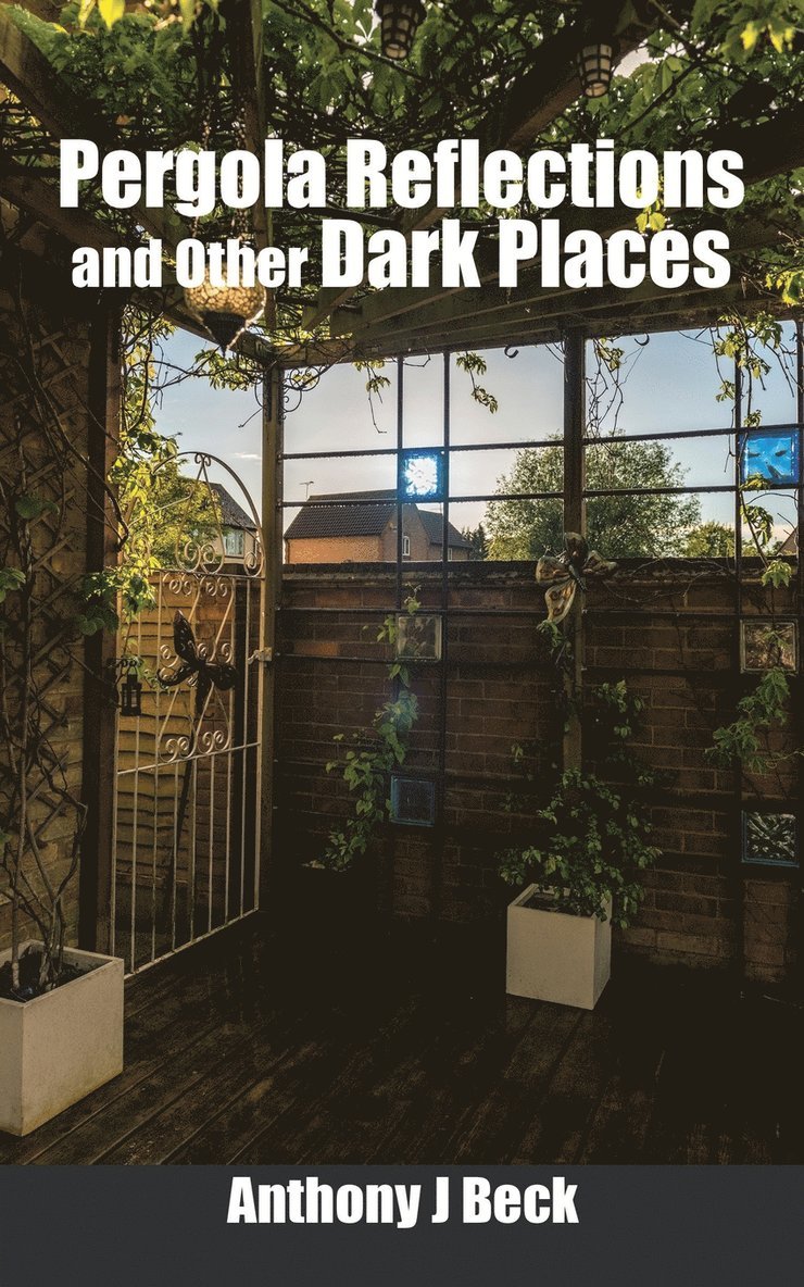 Pergola Reflections and Other Dark Places 1