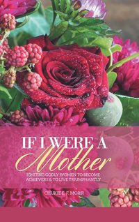 bokomslag If I Were a Mother