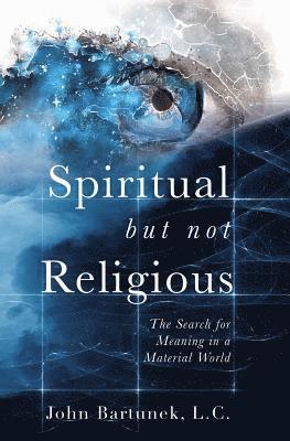 bokomslag Spiritual But Not Religious: The Search for Meaning in a Material World