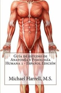 bokomslag Gua de estudio de anatoma y fisiologa humana 1 (Primera Edicin)