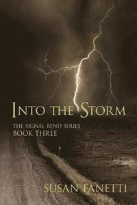 bokomslag Into the Storm