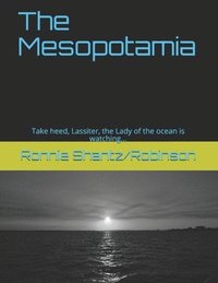 bokomslag The Mesopotamia