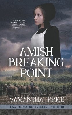 bokomslag Amish Breaking Point