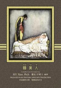 bokomslag The Sleeping Beauty (Traditional Chinese): 08 Tongyong Pinyin with IPA Paperback Color
