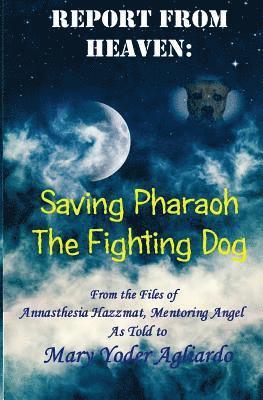 Report From Heaven: Saving Pharaoh the Fighting Dog: From the Files of Annasthesia Hazzmat, Mentoring Angel 1