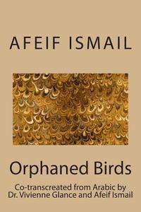 bokomslag Orphaned Birds: Poems by Afeif Ismail