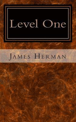 bokomslag Level One
