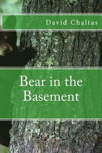 bokomslag Bear in the Basement