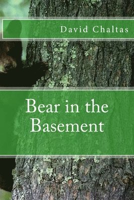 Bear in the Basement 1