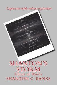 bokomslag Shanton's Storm: Chaos of Words
