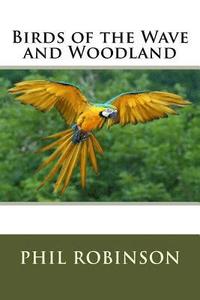 bokomslag Birds of the Wave and Woodland