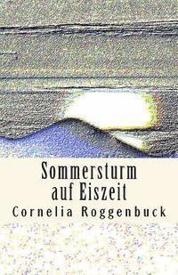 bokomslag Sommersturm auf Eiszeit