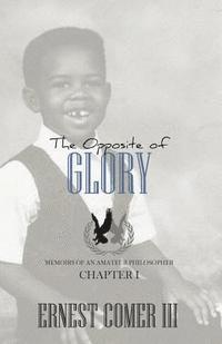 bokomslag The Opposite of Glory: Memoirs of an Amateur Philosopher