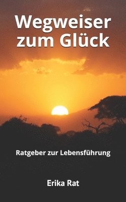 bokomslag Wegweiser zum Glück
