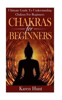 bokomslag Chakras For Beginners