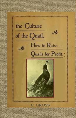 Culture of the Quail 1