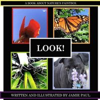bokomslag Look!: A book about nature's paintbox