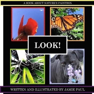 Look!: A book about nature's paintbox 1