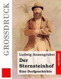 bokomslag Der Sternsteinhof (Großdruck)