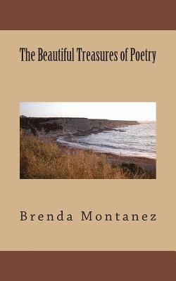 bokomslag Beautiful Treasures of Poetry