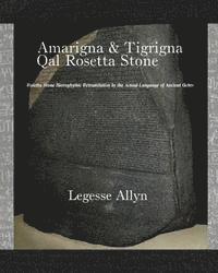 bokomslag Amarigna & Tigrigna Qal Rosetta Stone: Rosetta Stone Hieroglyphic Re-Translation