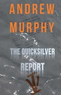 bokomslag The Quicksilver Report