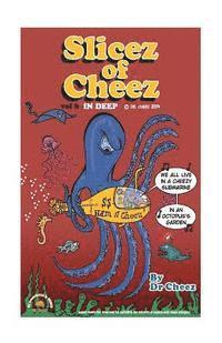 Slicez of Cheez Vol6 1