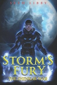 bokomslag Storm's Fury