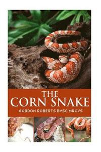 bokomslag The Corn Snake