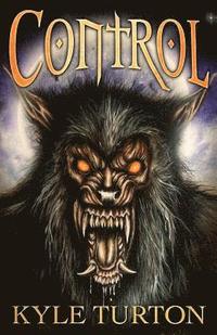 bokomslag Control
