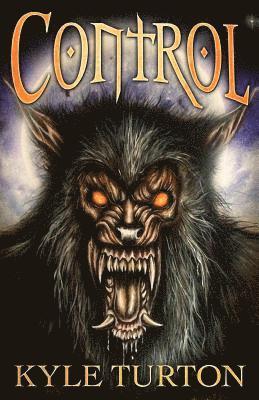 bokomslag Control