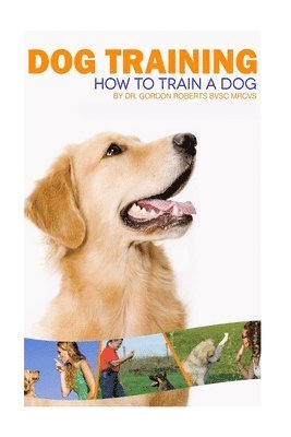 Dog Training: How to train a dog 1