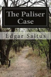 bokomslag The Paliser Case