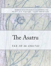 bokomslag The Asatru