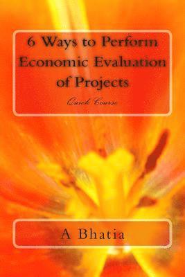 bokomslag Six Ways to Perform Economic Evaluation of Projects: Quick Course