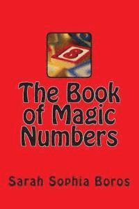 bokomslag The Book of Magic Numbers