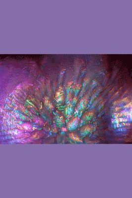 Shiva Swati, Swati Shiv - Creation Of Happiness: THE ENERGY WAR: a soul's perspective, Häftad