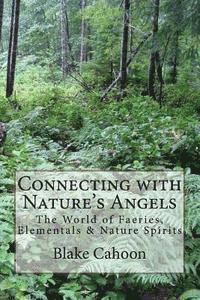 bokomslag Connecting with Nature's Angels: The World of Faeries, Elementals & Nature Spirits
