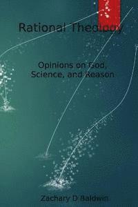 bokomslag Rational Theology: Articulating perceptions of God rationally