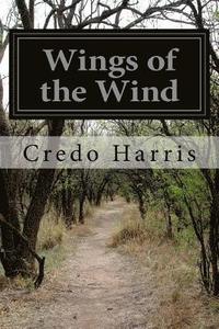 bokomslag Wings of the Wind