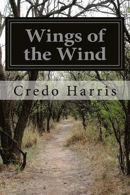 Wings of the Wind 1