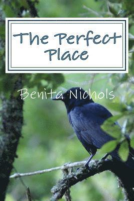 The Perfect Place 1