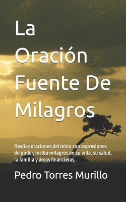 bokomslag La Oración Fuente De Milagros: Realice oraciones del reino con expresiones de poder, reciba milagros en su vida, su salud, la familia y áreas financi